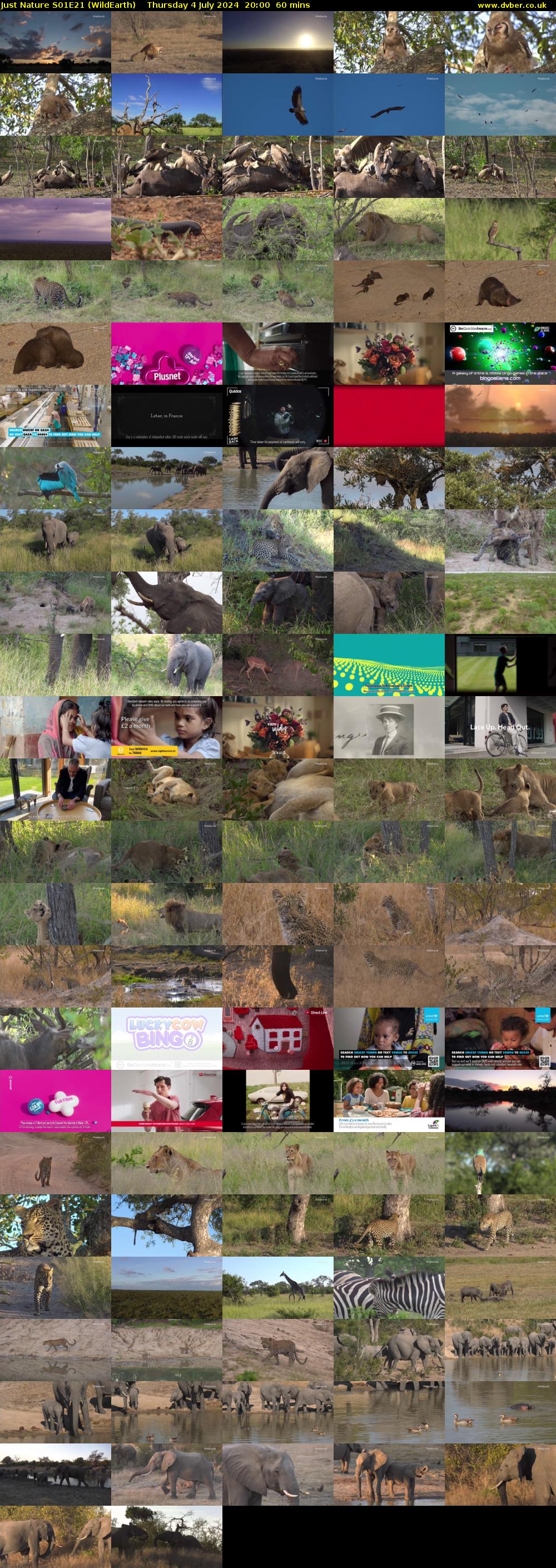 Just Nature S01E21 (WildEarth) Thursday 4 July 2024 20:00 - 21:00
