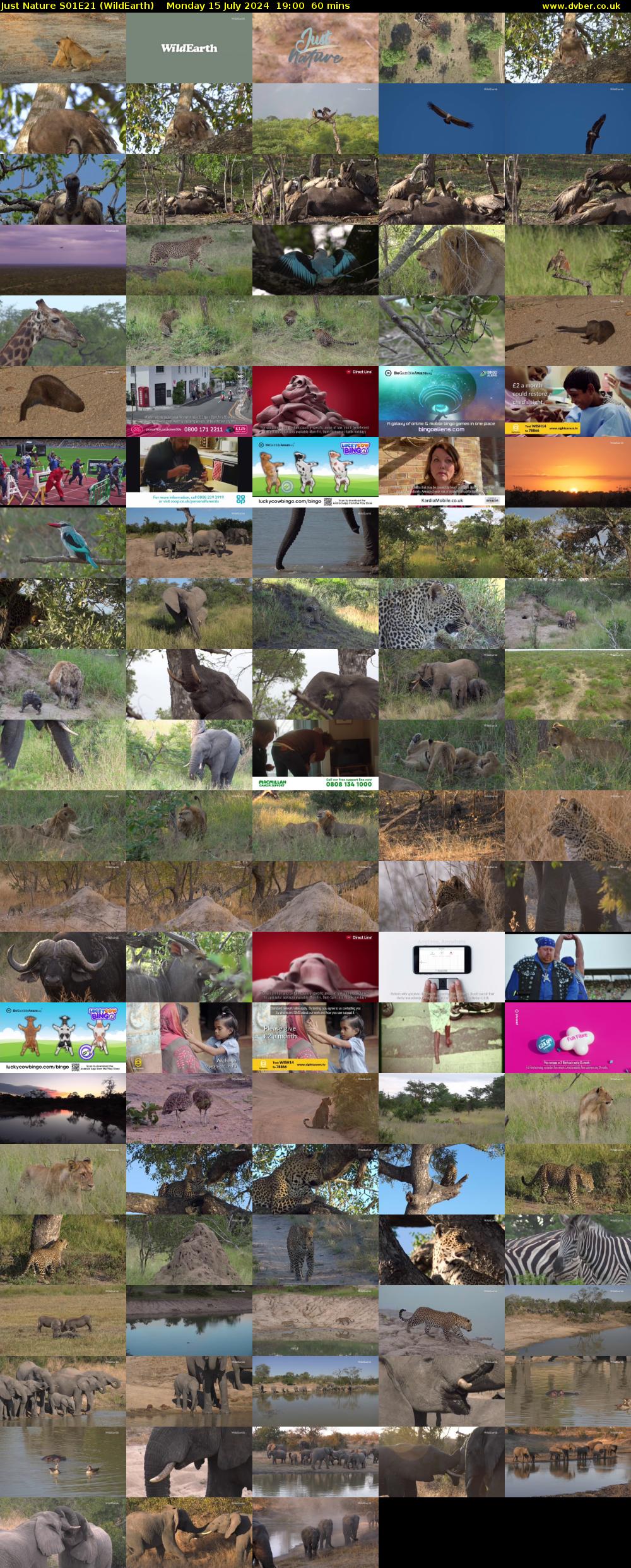Just Nature S01E21 (WildEarth) Monday 15 July 2024 19:00 - 20:00