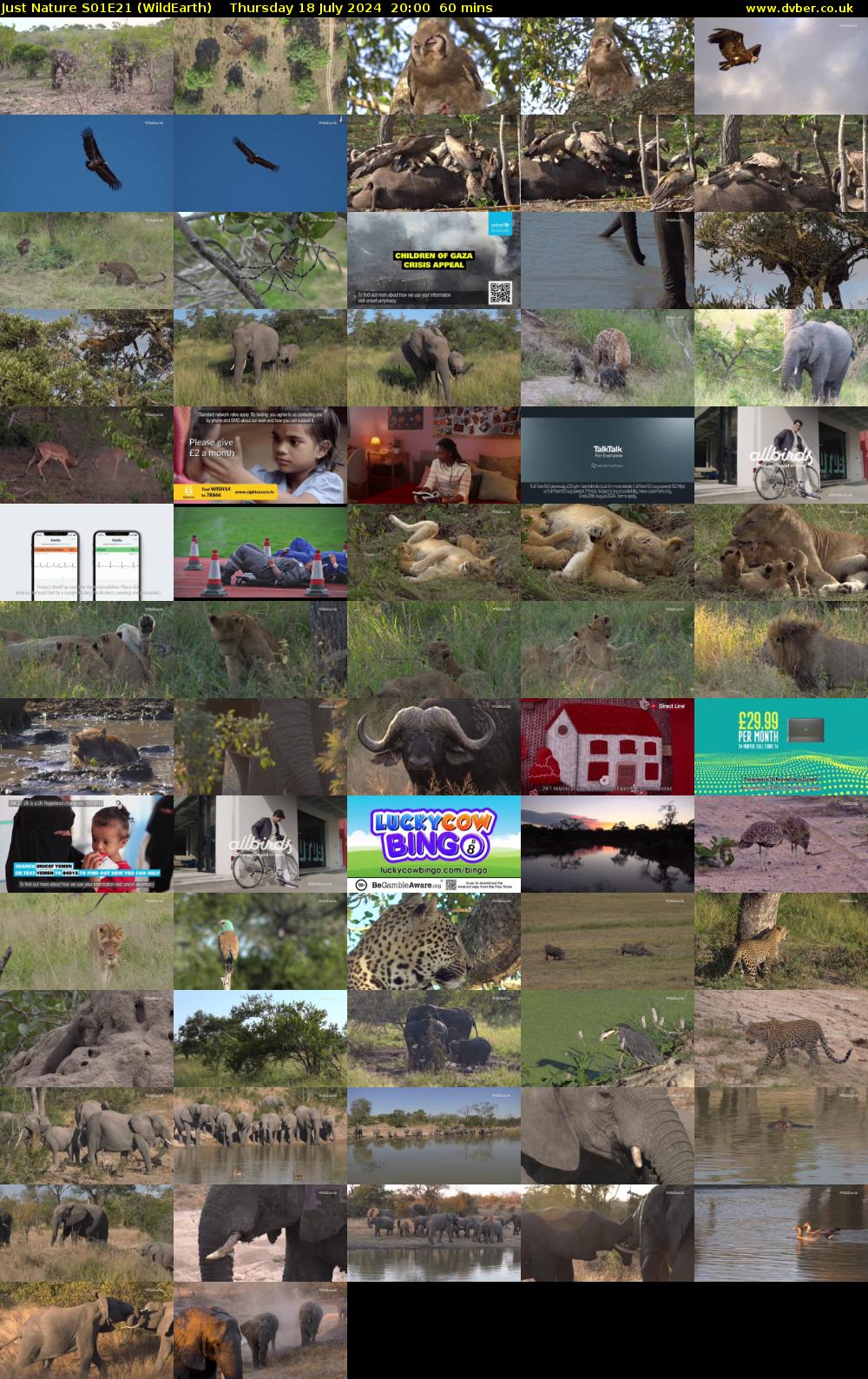 Just Nature S01E21 (WildEarth) Thursday 18 July 2024 20:00 - 21:00