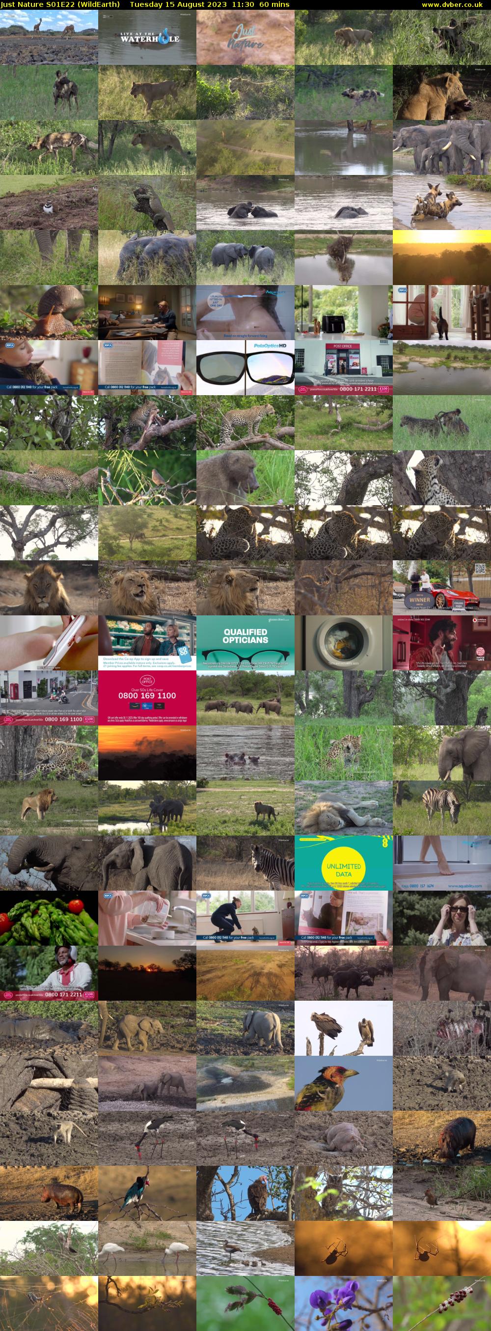 Just Nature S01E22 (WildEarth) Tuesday 15 August 2023 11:30 - 12:30