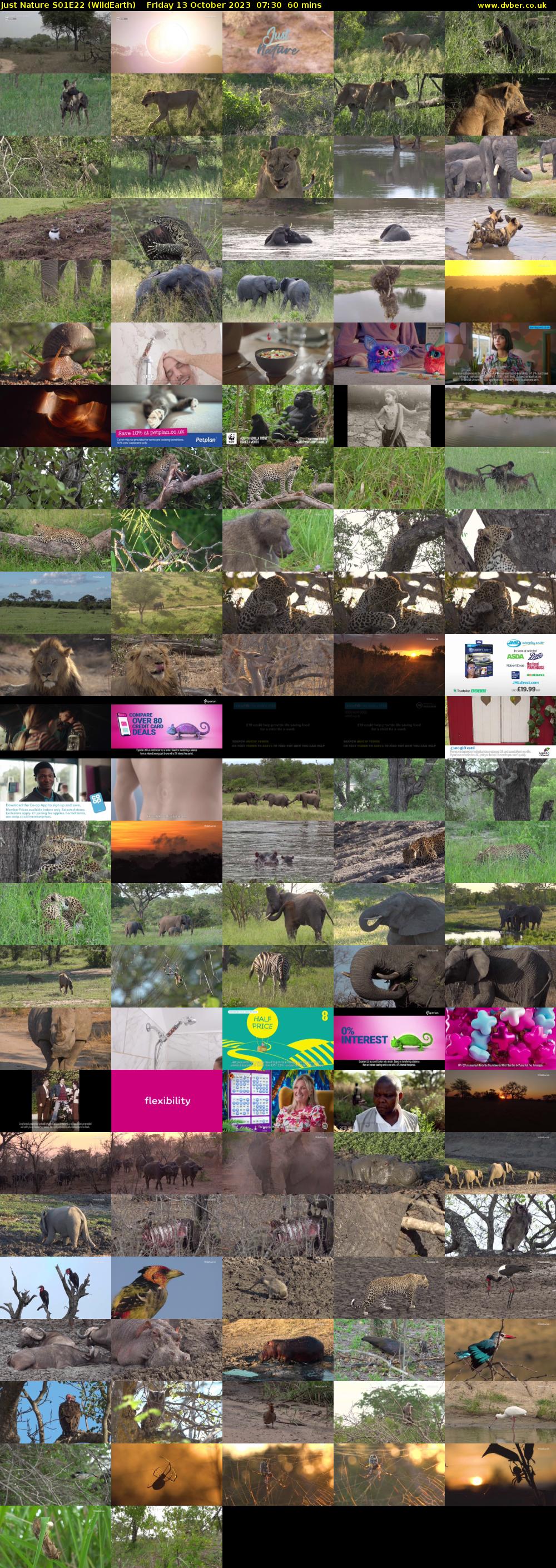 Just Nature S01E22 (WildEarth) Friday 13 October 2023 07:30 - 08:30