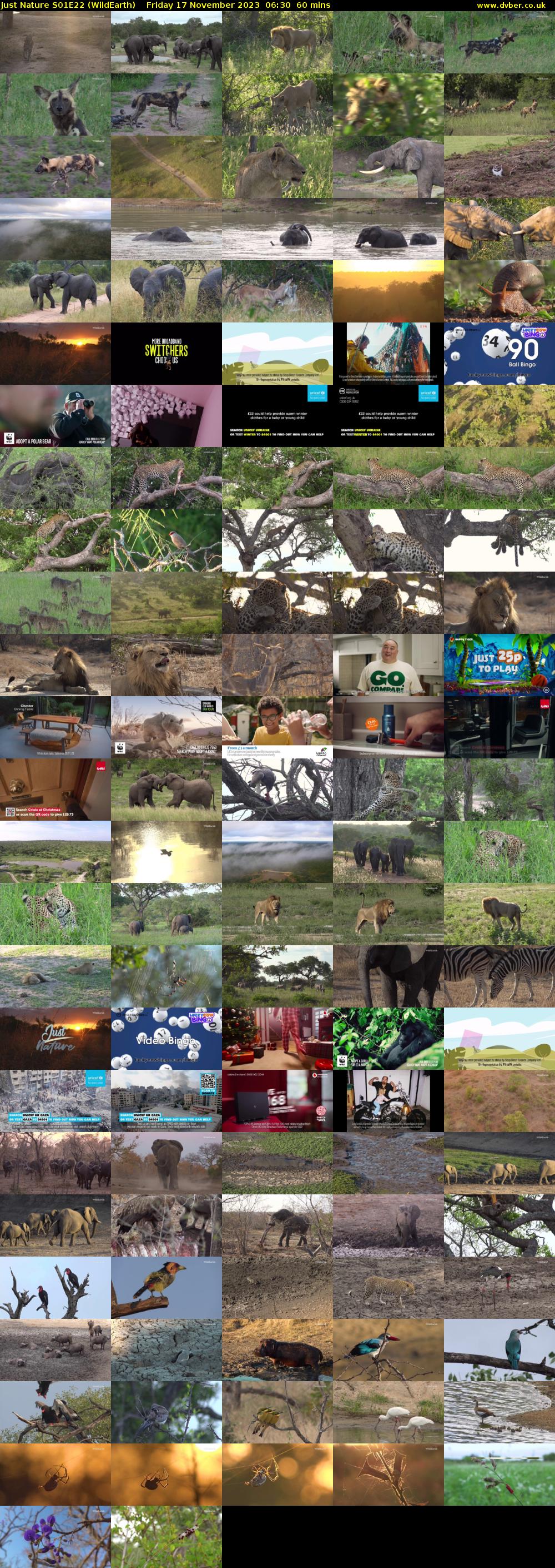 Just Nature S01E22 (WildEarth) Friday 17 November 2023 06:30 - 07:30