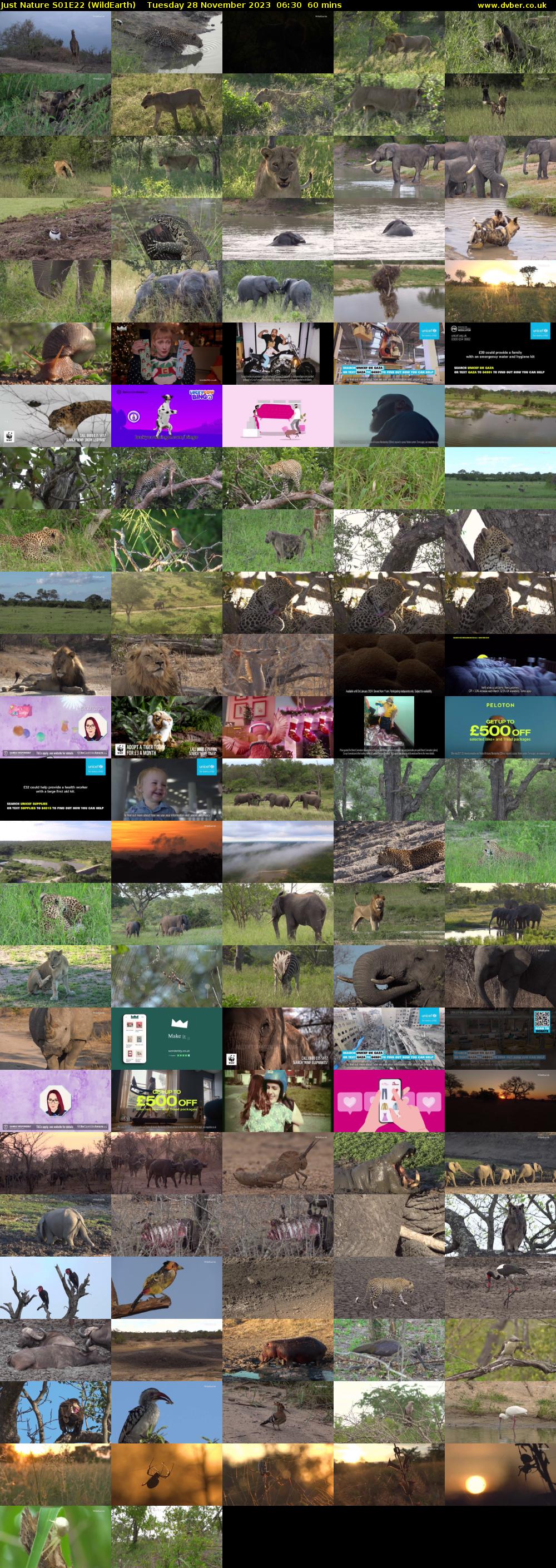 Just Nature S01E22 (WildEarth) Tuesday 28 November 2023 06:30 - 07:30