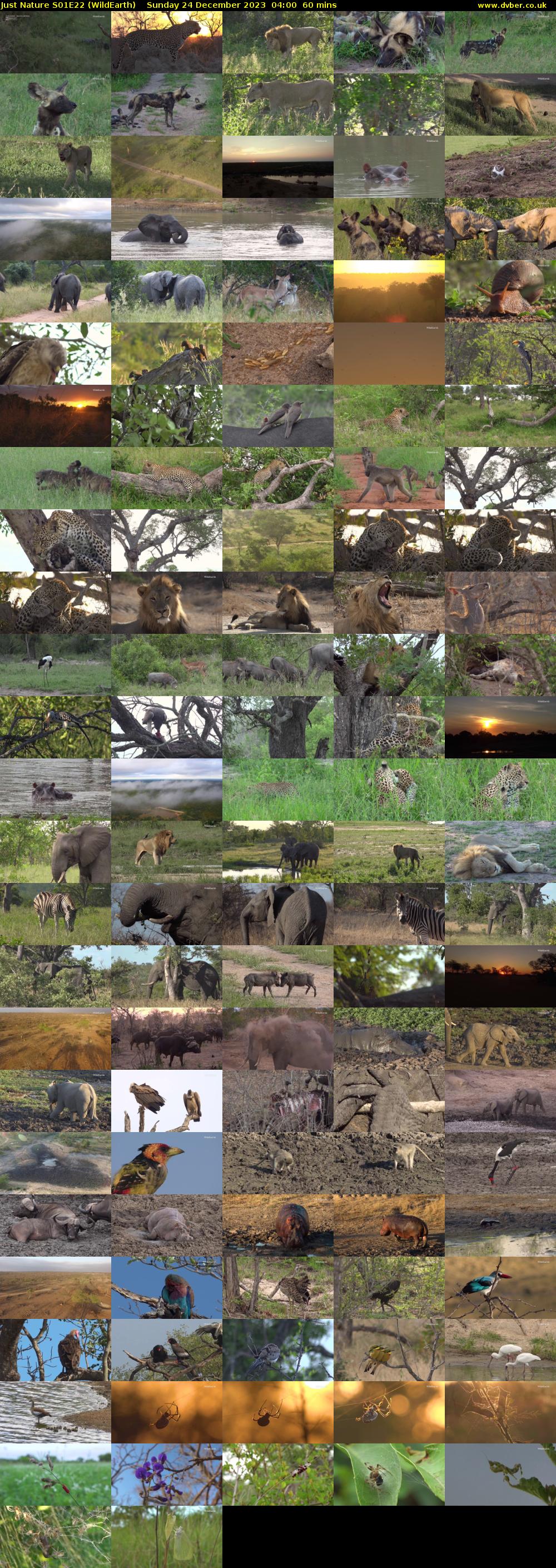 Just Nature S01E22 (WildEarth) Sunday 24 December 2023 04:00 - 05:00