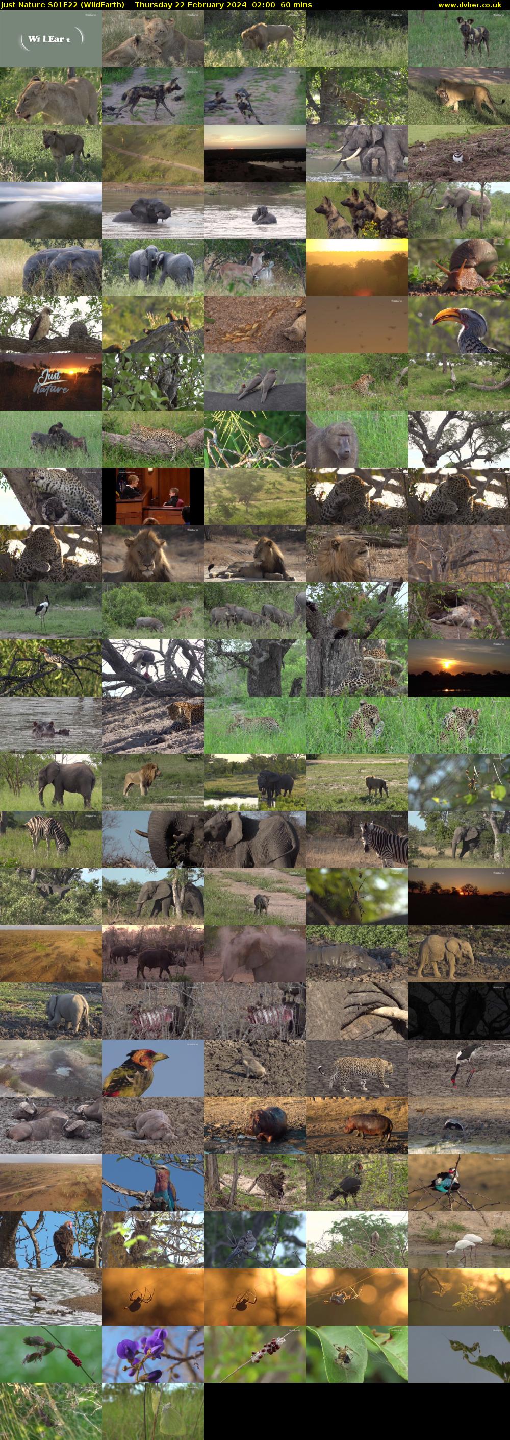 Just Nature S01E22 (WildEarth) Thursday 22 February 2024 02:00 - 03:00