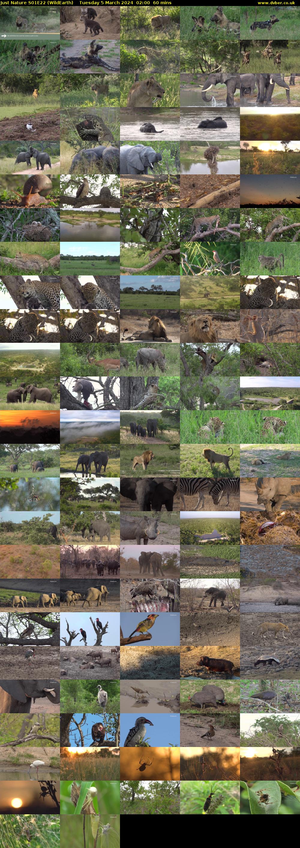 Just Nature S01E22 (WildEarth) Tuesday 5 March 2024 02:00 - 03:00