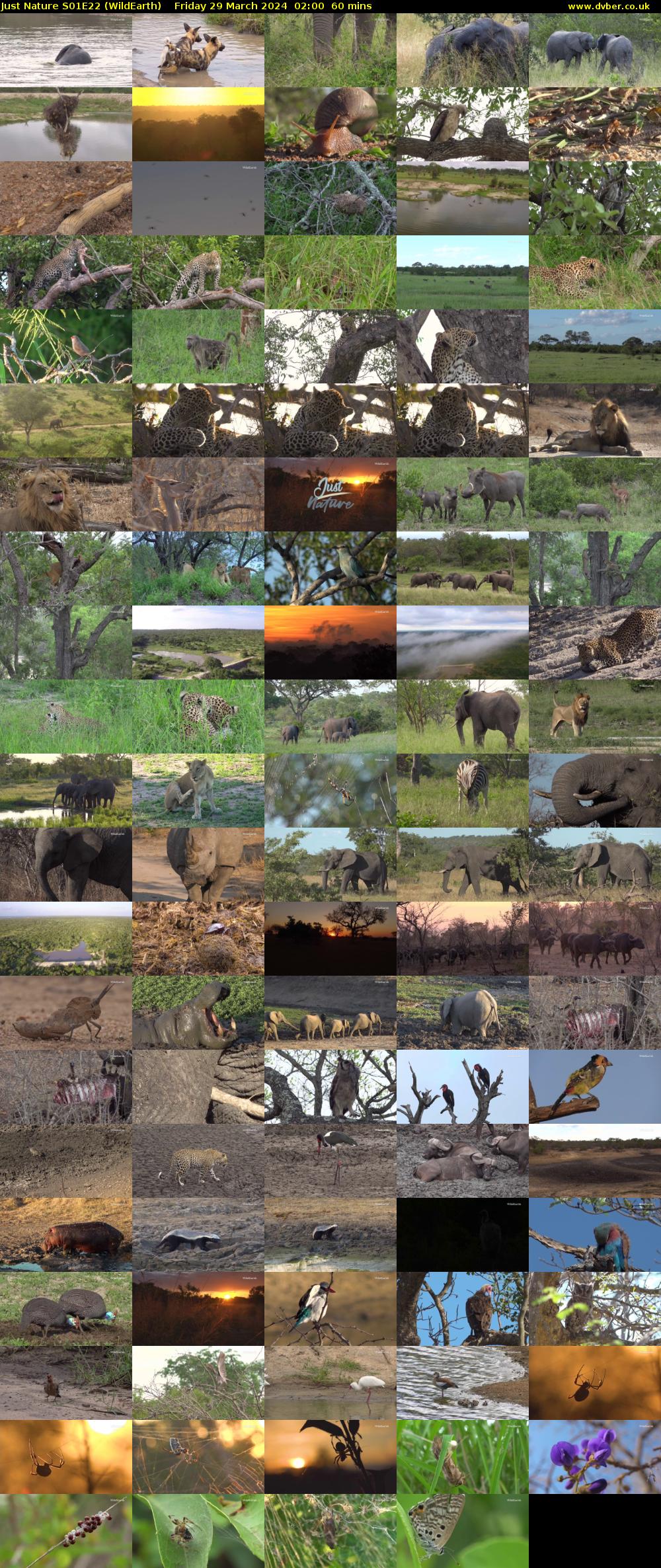Just Nature S01E22 (WildEarth) Friday 29 March 2024 02:00 - 03:00
