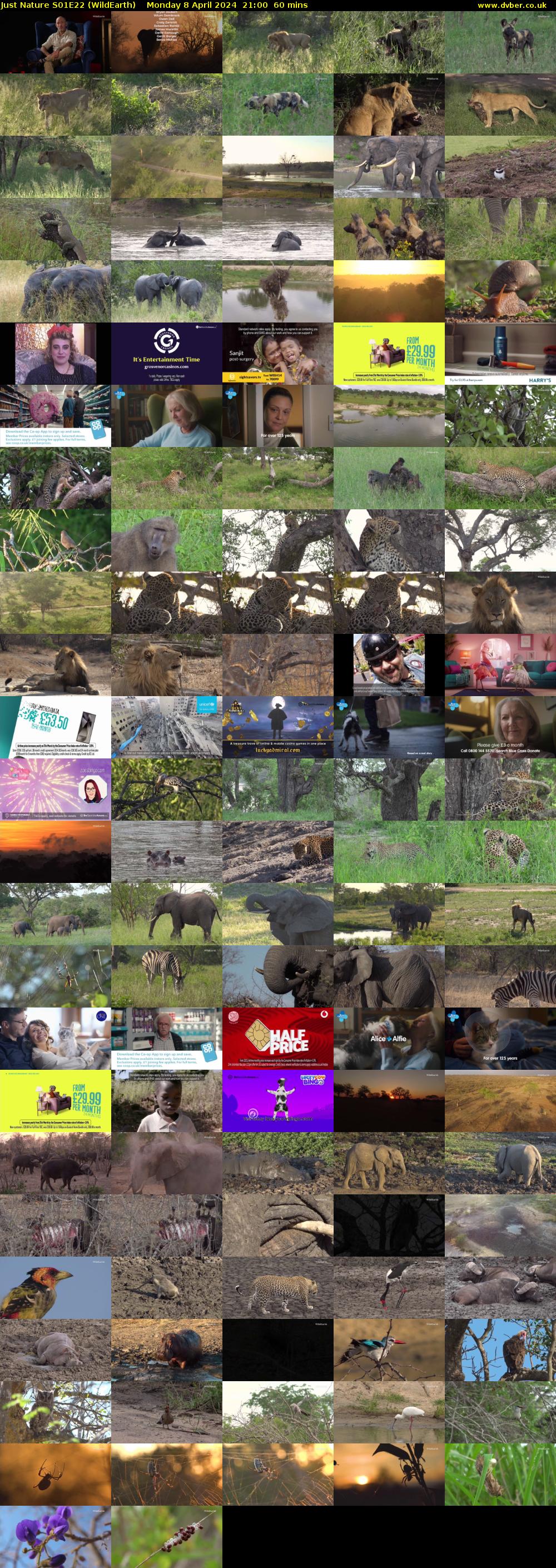Just Nature S01E22 (WildEarth) Monday 8 April 2024 21:00 - 22:00