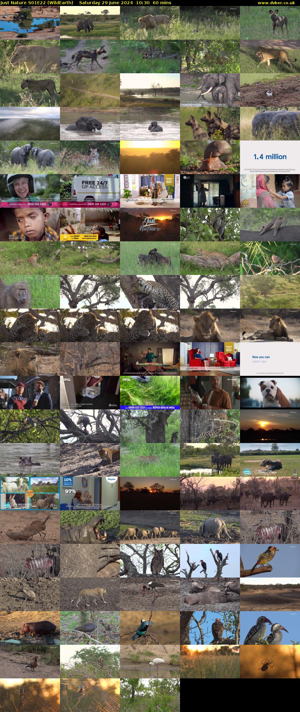 Just Nature S01E22 (WildEarth) Saturday 29 June 2024 10:30 - 11:30