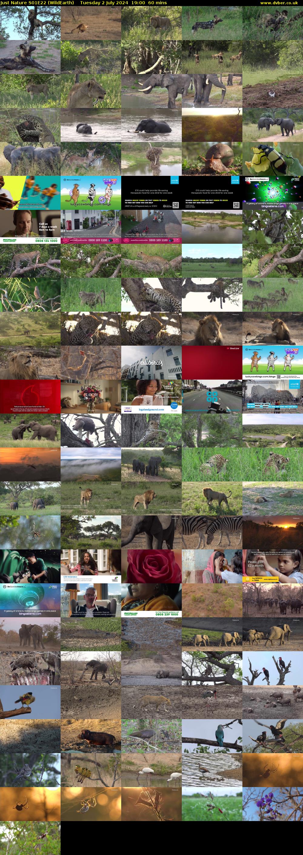 Just Nature S01E22 (WildEarth) Tuesday 2 July 2024 19:00 - 20:00