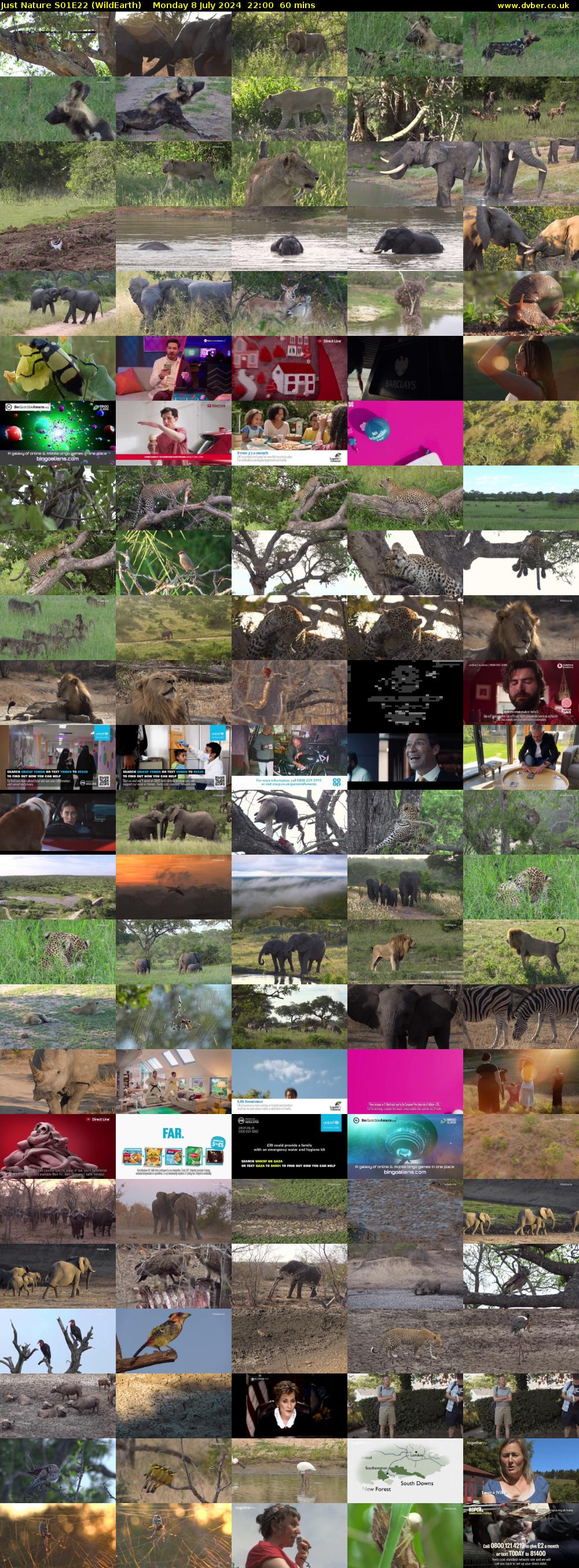 Just Nature S01E22 (WildEarth) Monday 8 July 2024 22:00 - 23:00