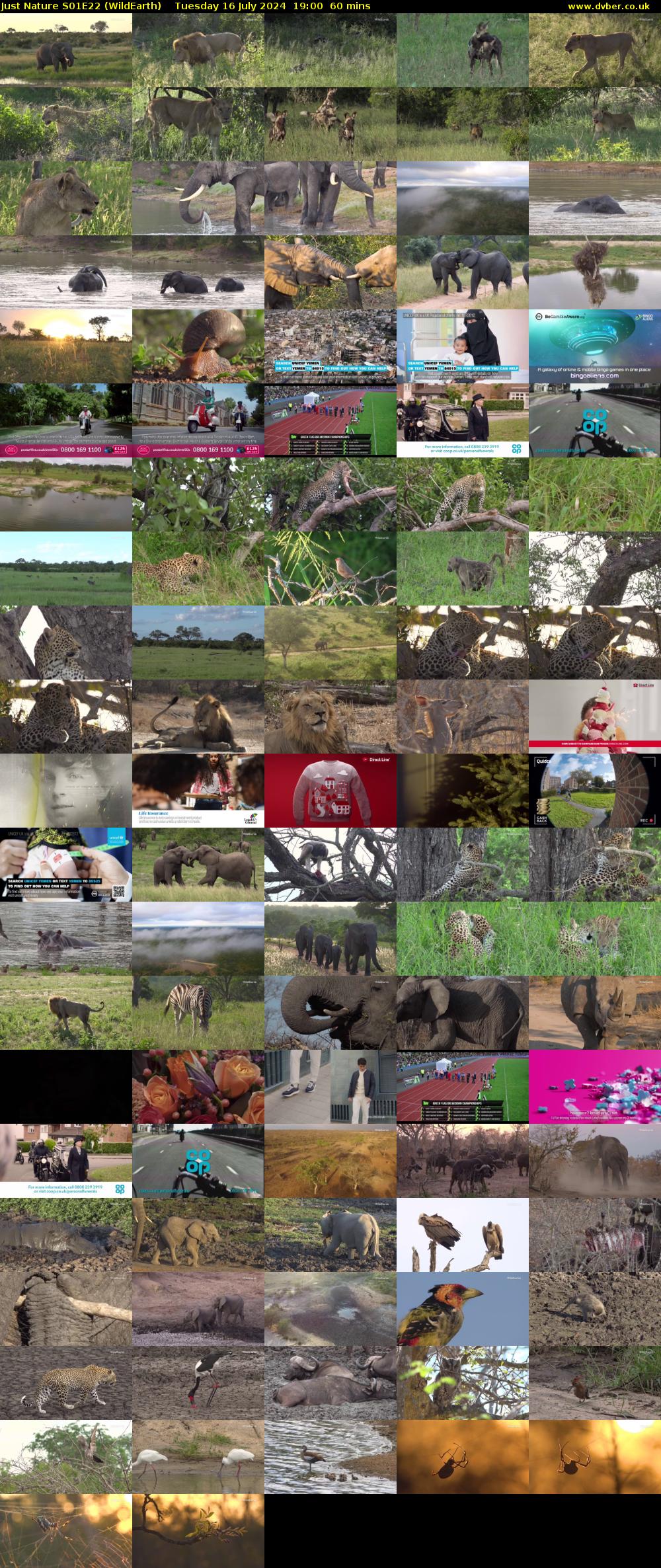 Just Nature S01E22 (WildEarth) Tuesday 16 July 2024 19:00 - 20:00