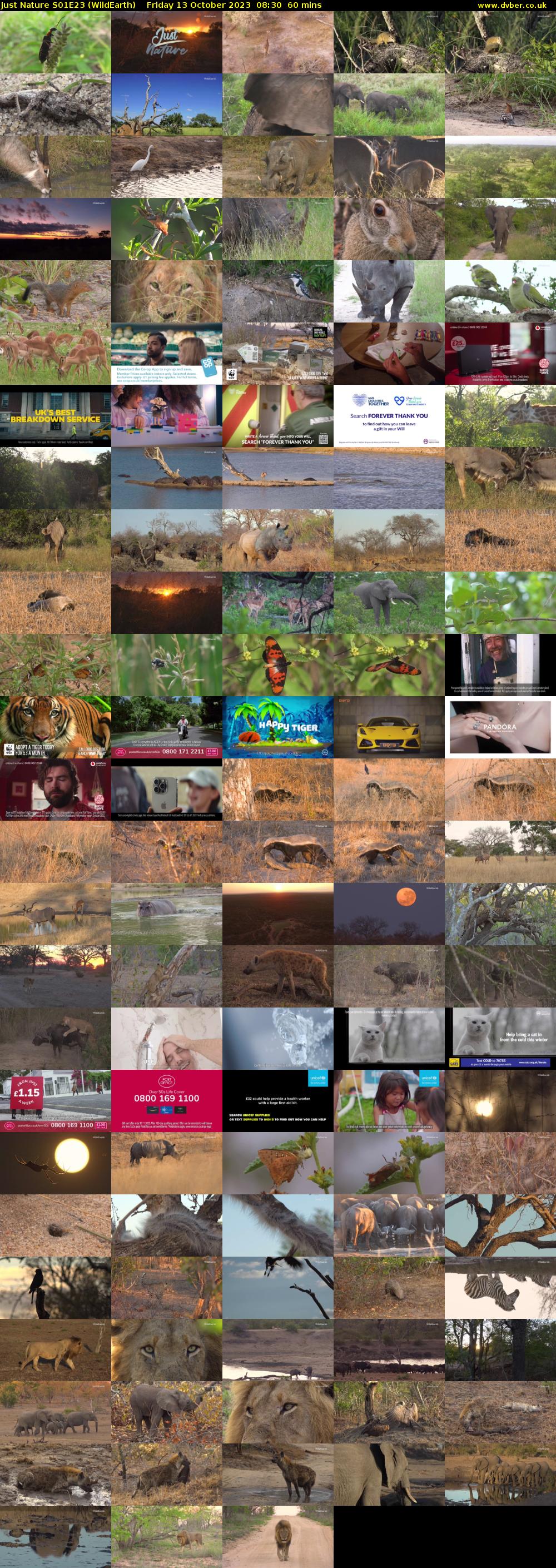 Just Nature S01E23 (WildEarth) Friday 13 October 2023 08:30 - 09:30