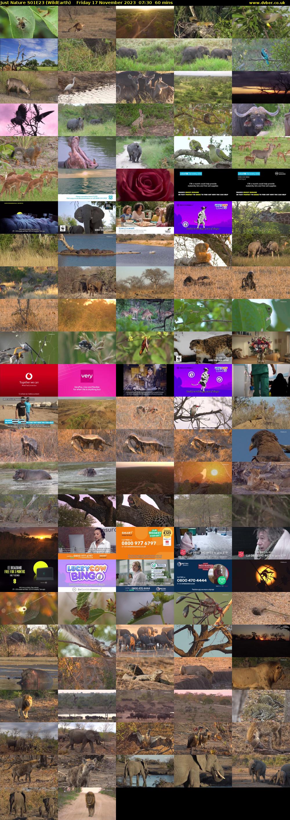 Just Nature S01E23 (WildEarth) Friday 17 November 2023 07:30 - 08:30