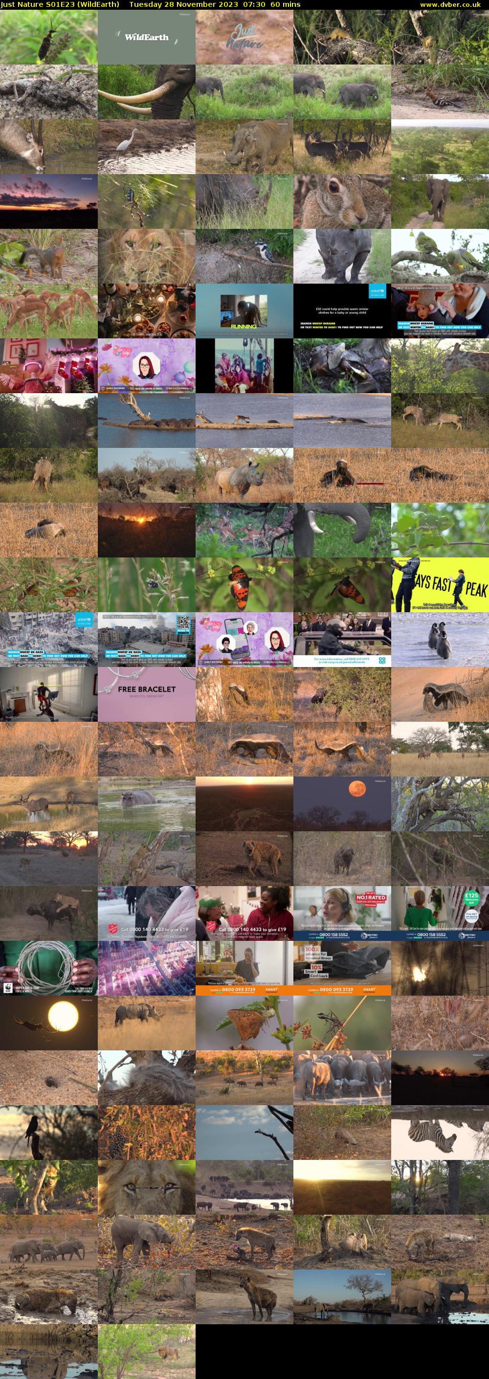 Just Nature S01E23 (WildEarth) Tuesday 28 November 2023 07:30 - 08:30