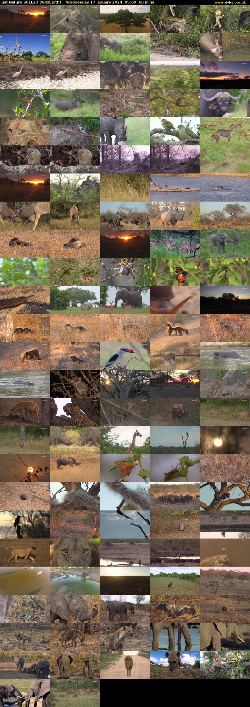Just Nature S01E23 (WildEarth) Wednesday 17 January 2024 05:00 - 06:00