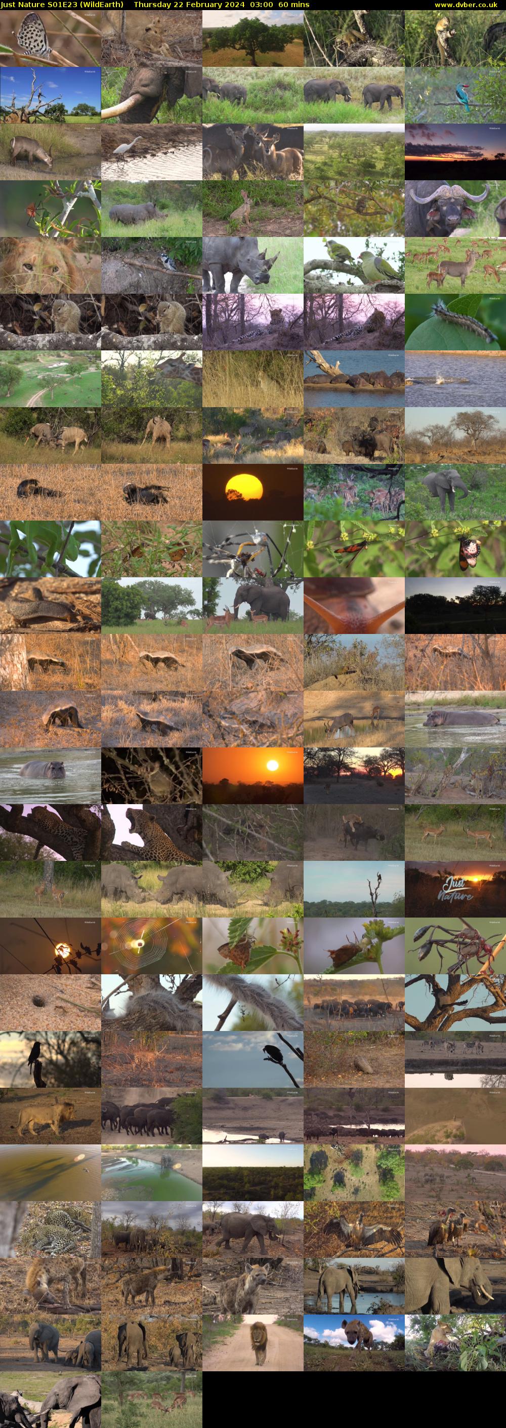 Just Nature S01E23 (WildEarth) Thursday 22 February 2024 03:00 - 04:00