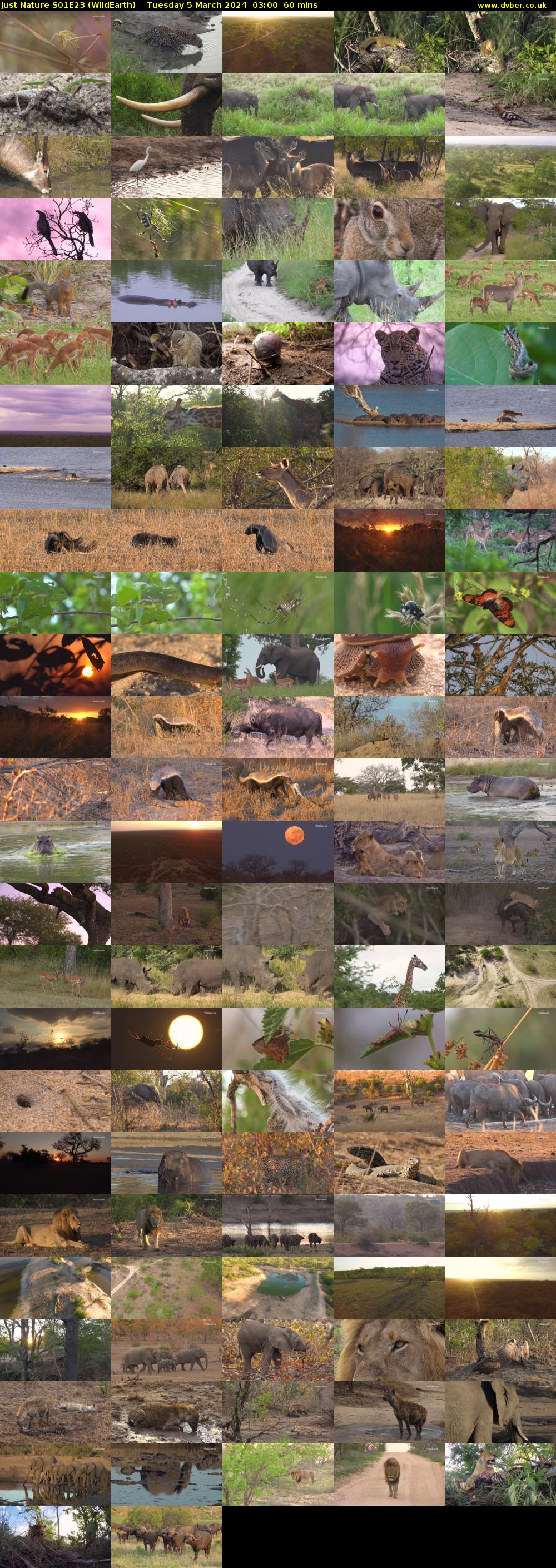 Just Nature S01E23 (WildEarth) Tuesday 5 March 2024 03:00 - 04:00