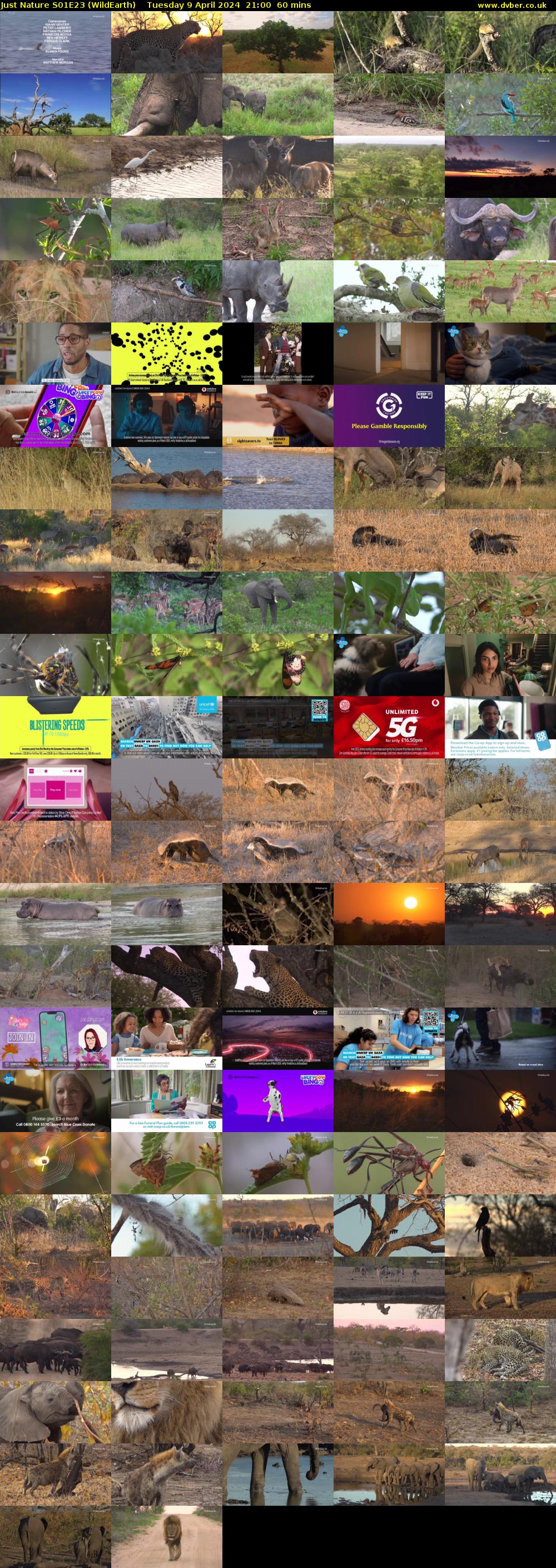Just Nature S01E23 (WildEarth) Tuesday 9 April 2024 21:00 - 22:00