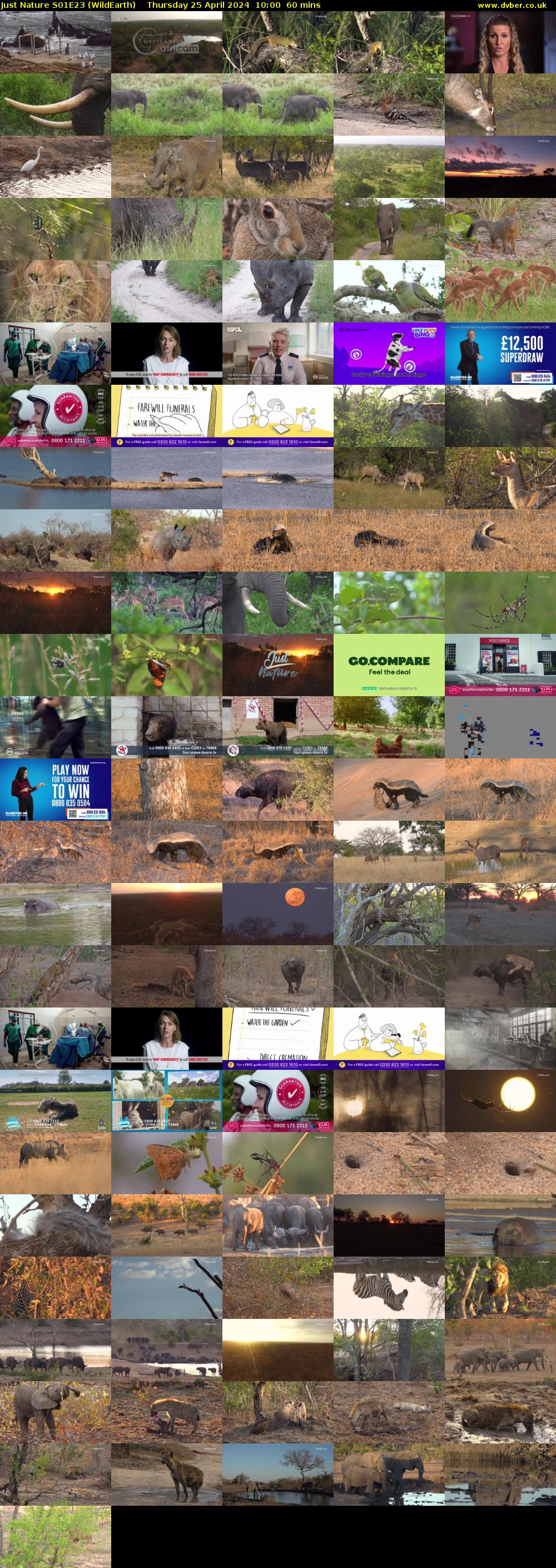 Just Nature S01E23 (WildEarth) Thursday 25 April 2024 10:00 - 11:00