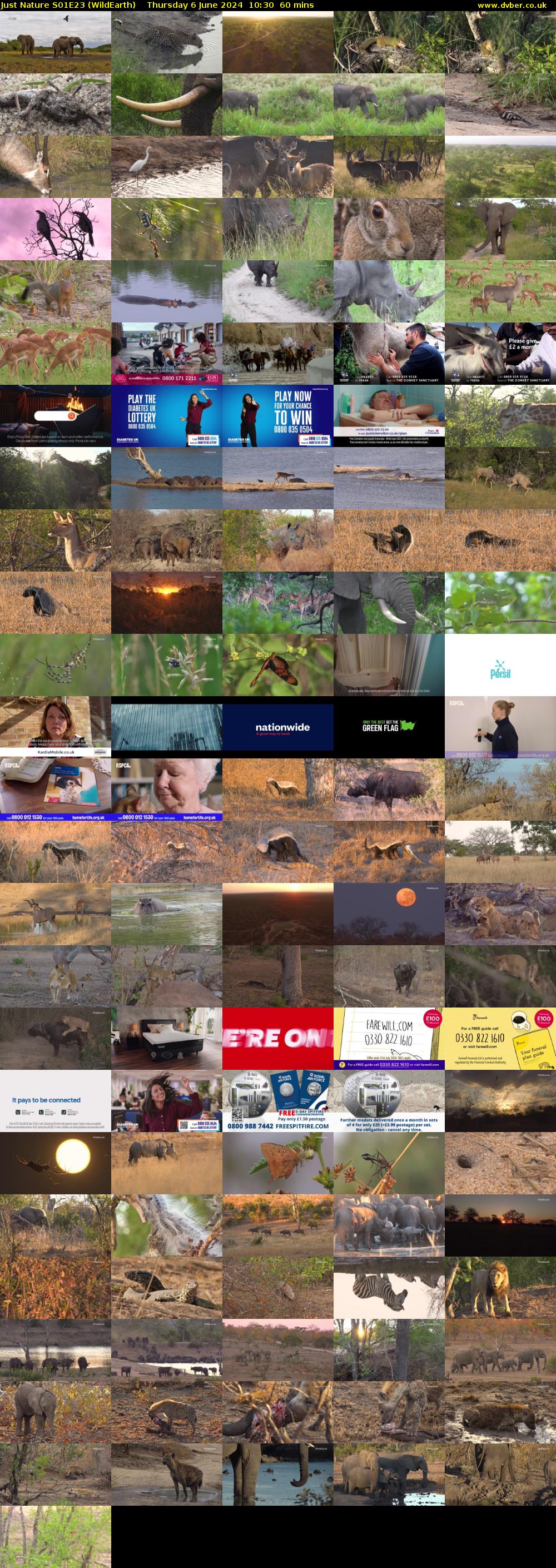 Just Nature S01E23 (WildEarth) Thursday 6 June 2024 10:30 - 11:30