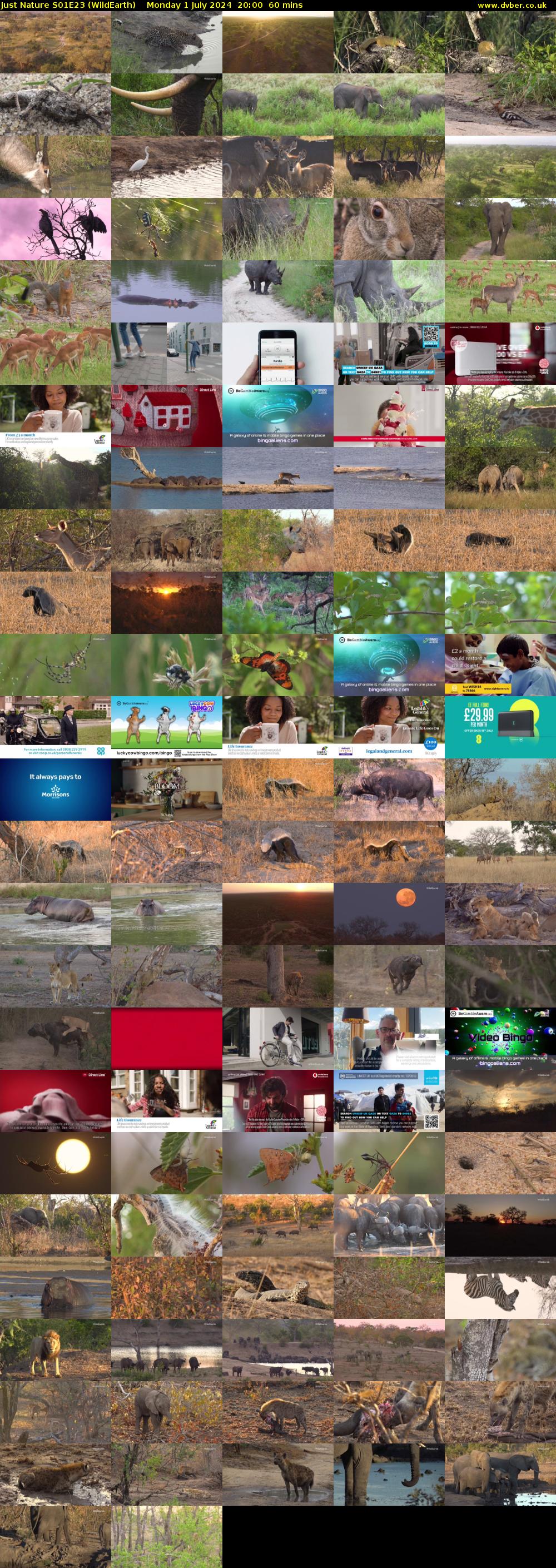 Just Nature S01E23 (WildEarth) Monday 1 July 2024 20:00 - 21:00