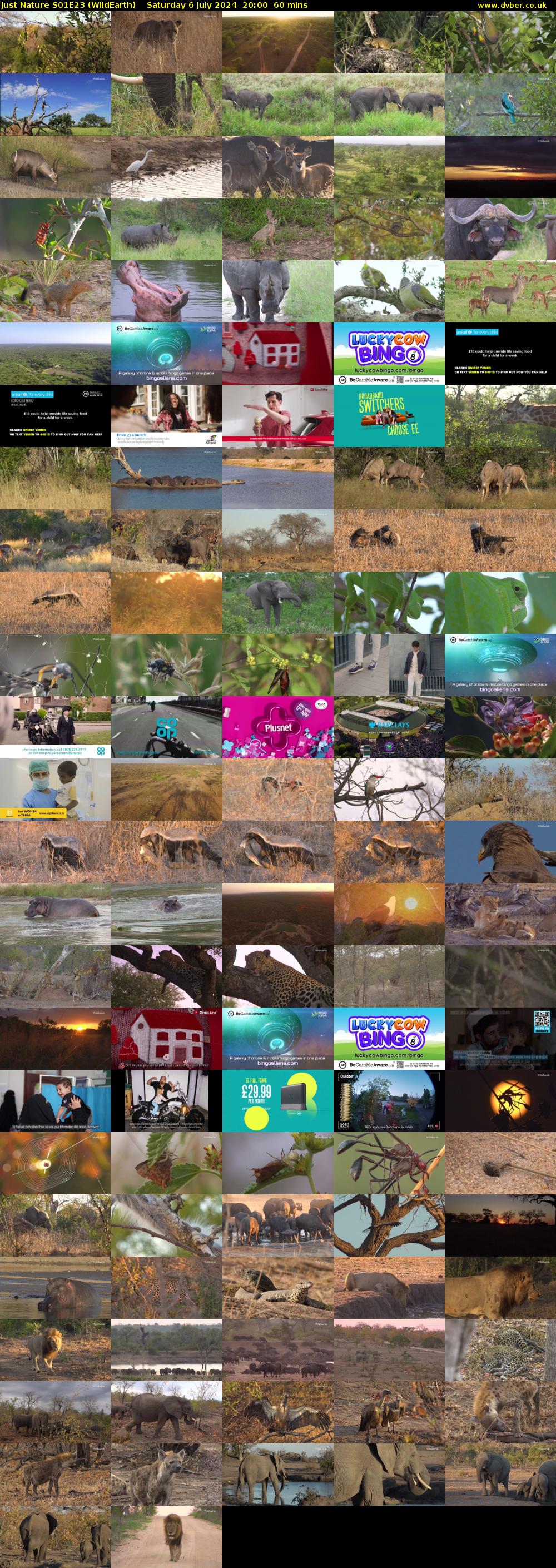 Just Nature S01E23 (WildEarth) Saturday 6 July 2024 20:00 - 21:00