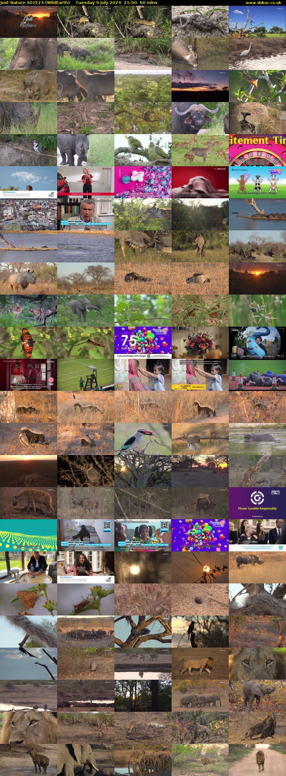 Just Nature S01E23 (WildEarth) Tuesday 9 July 2024 21:00 - 22:00