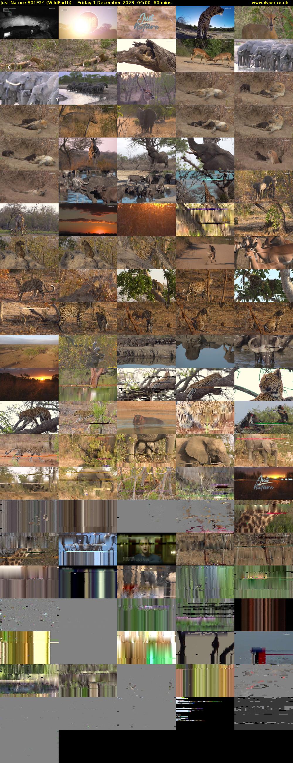 Just Nature S01E24 (WildEarth) Friday 1 December 2023 04:00 - 05:00