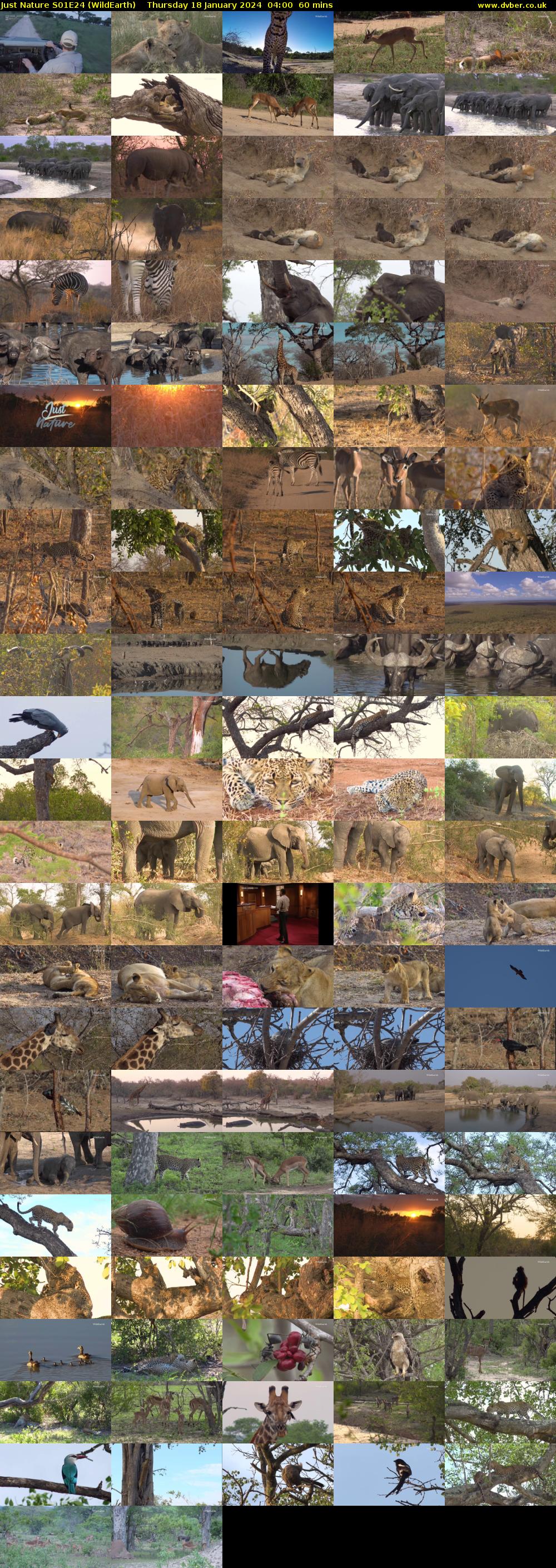 Just Nature S01E24 (WildEarth) Thursday 18 January 2024 04:00 - 05:00