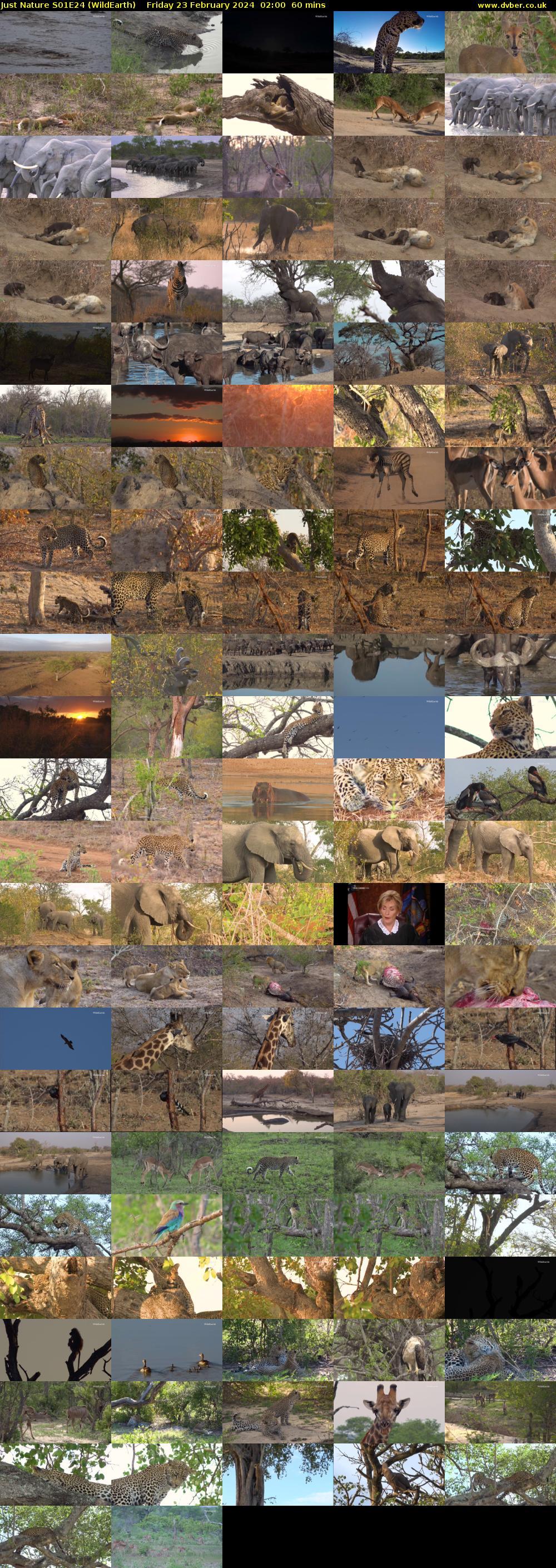 Just Nature S01E24 (WildEarth) Friday 23 February 2024 02:00 - 03:00
