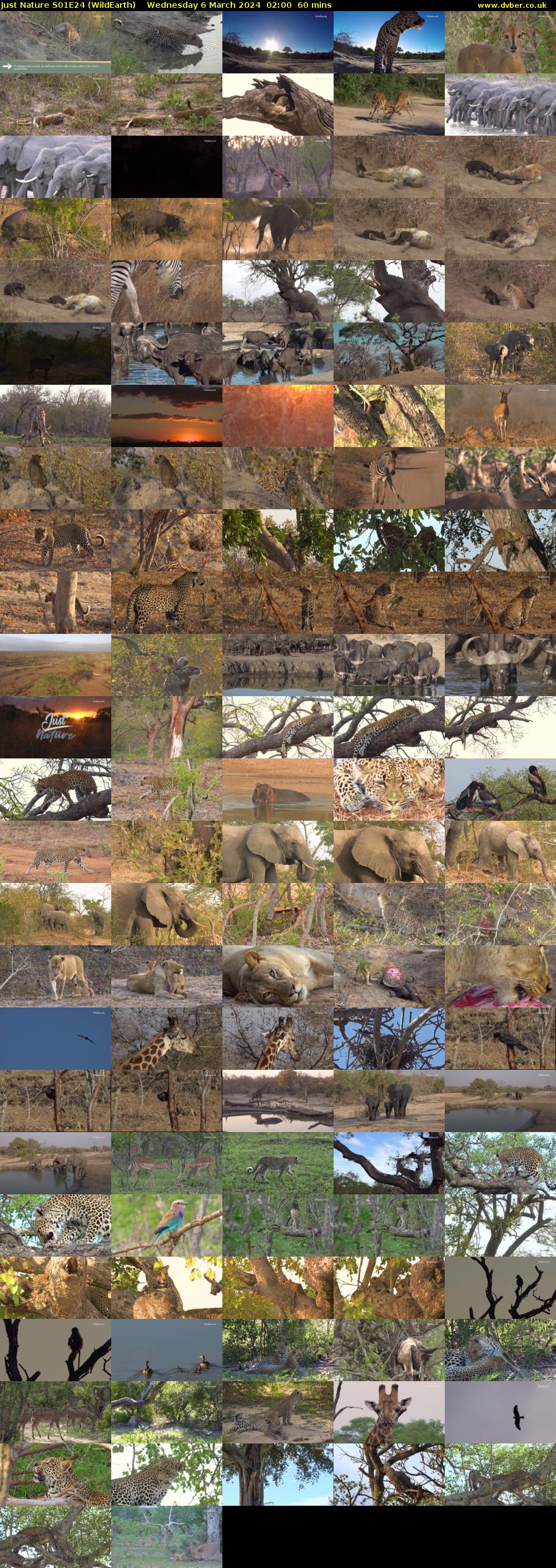 Just Nature S01E24 (WildEarth) Wednesday 6 March 2024 02:00 - 03:00