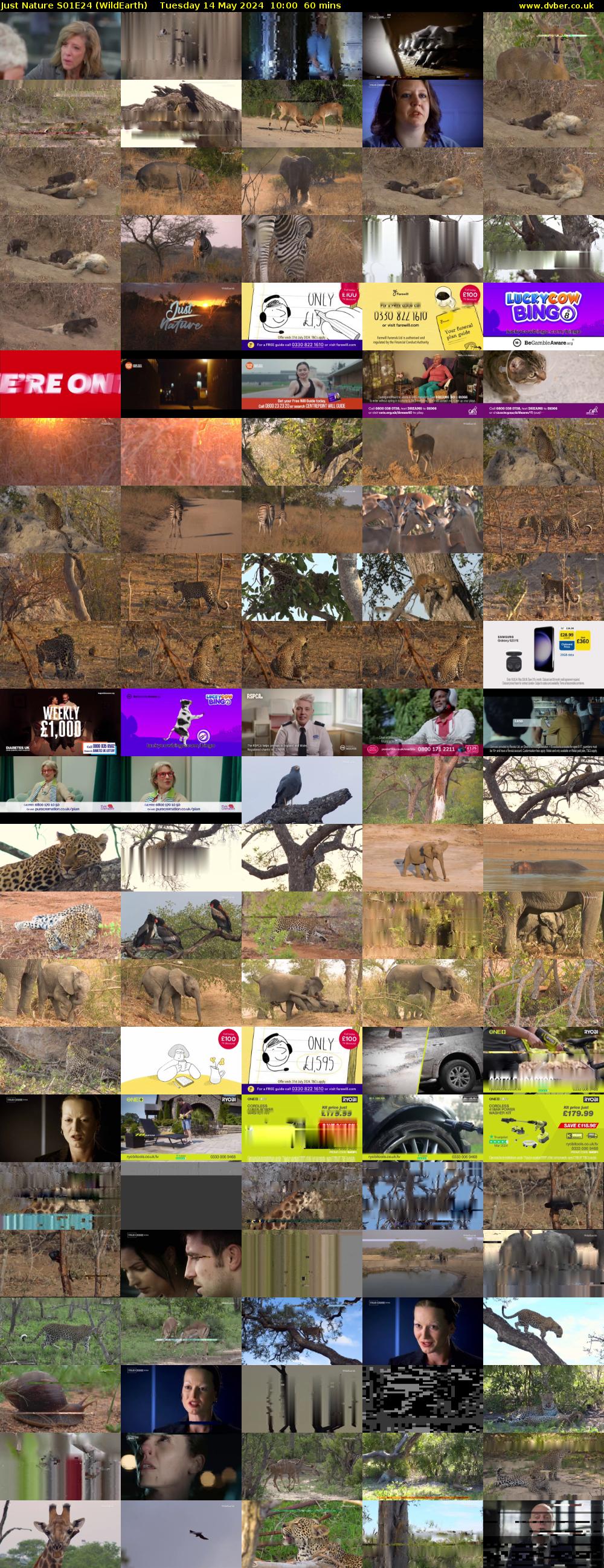 Just Nature S01E24 (WildEarth) Tuesday 14 May 2024 10:00 - 11:00