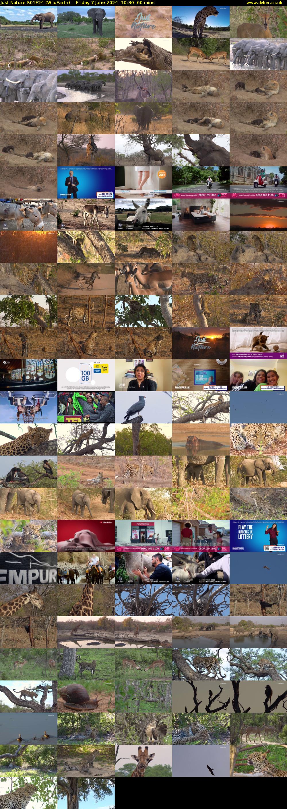 Just Nature S01E24 (WildEarth) Friday 7 June 2024 10:30 - 11:30