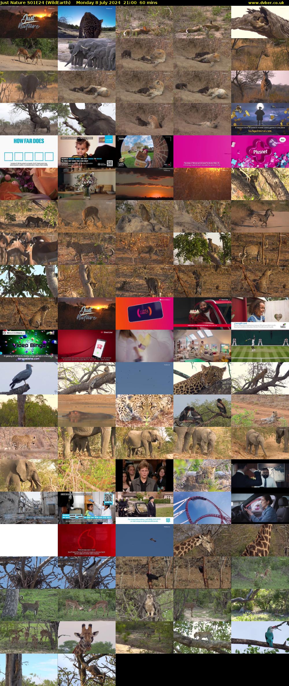 Just Nature S01E24 (WildEarth) Monday 8 July 2024 21:00 - 22:00