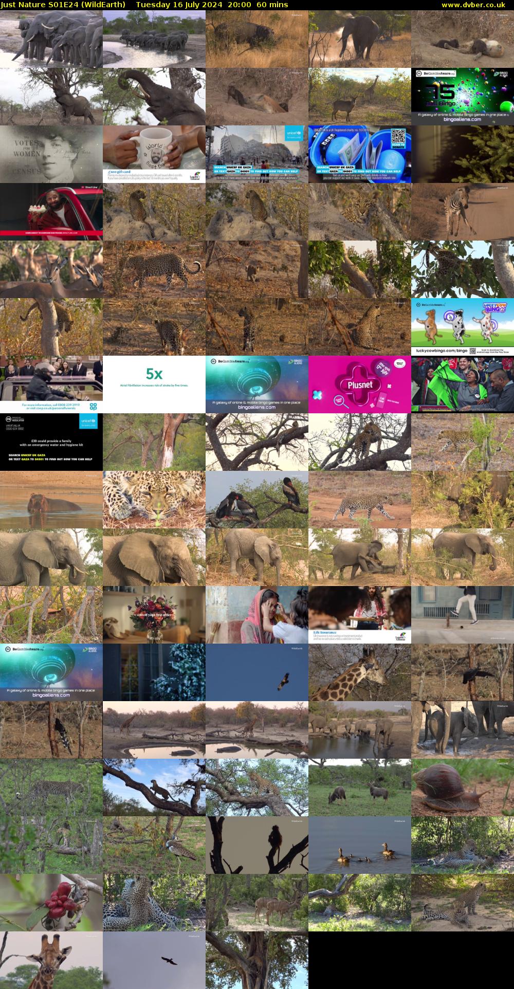 Just Nature S01E24 (WildEarth) Tuesday 16 July 2024 20:00 - 21:00