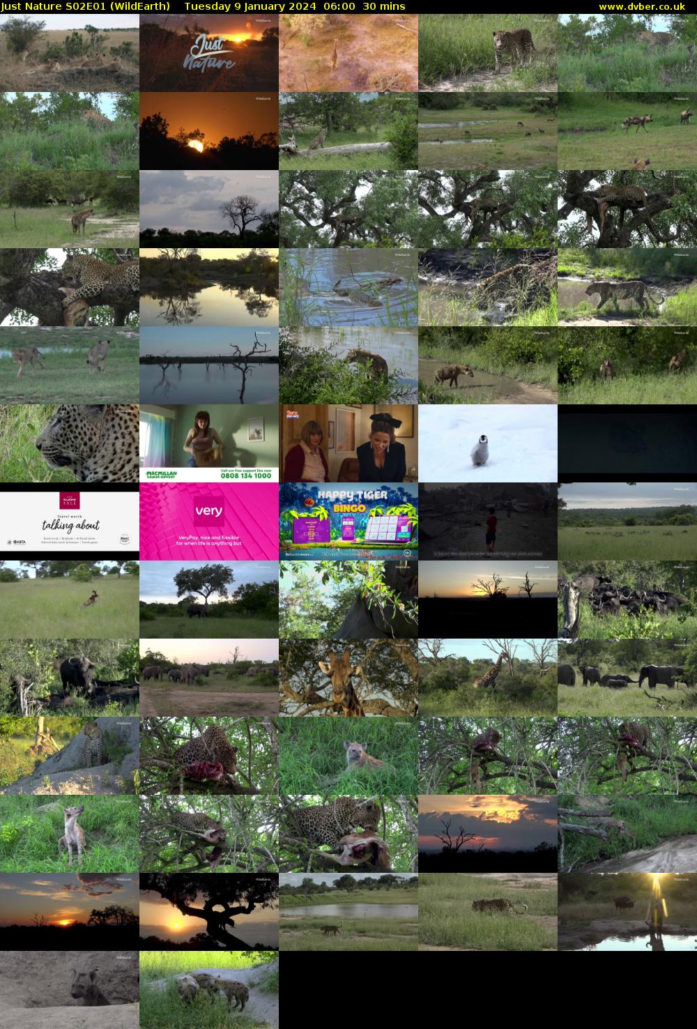 Just Nature S02E01 (WildEarth) Tuesday 9 January 2024 06:00 - 06:30