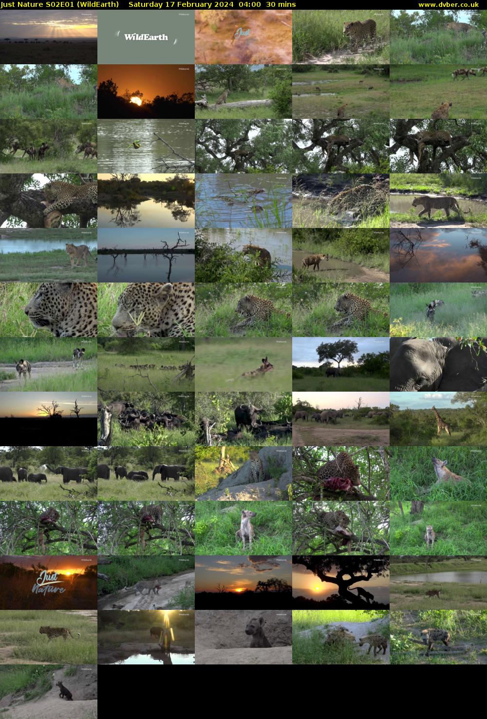 Just Nature S02E01 (WildEarth) Saturday 17 February 2024 04:00 - 04:30