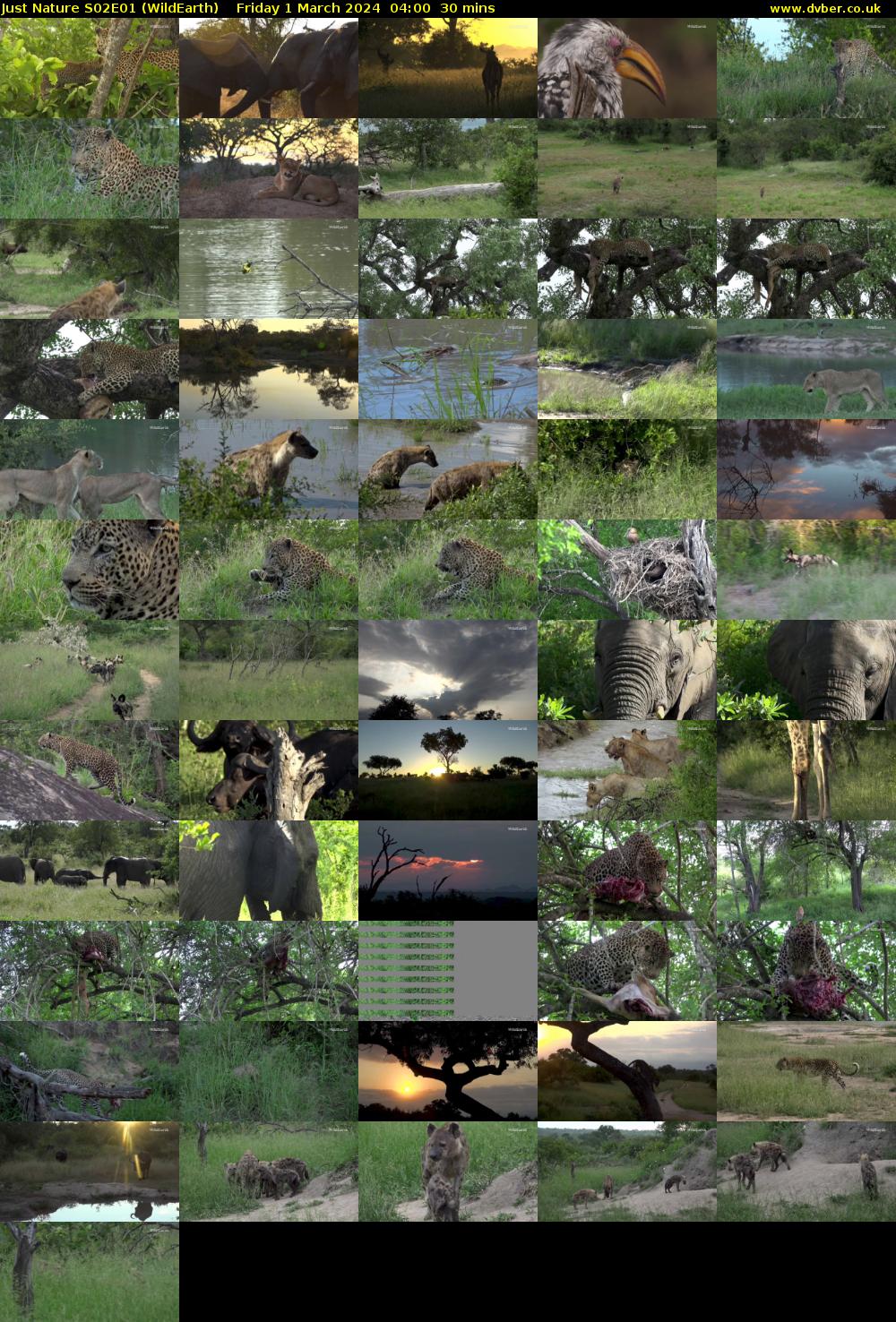 Just Nature S02E01 (WildEarth) Friday 1 March 2024 04:00 - 04:30