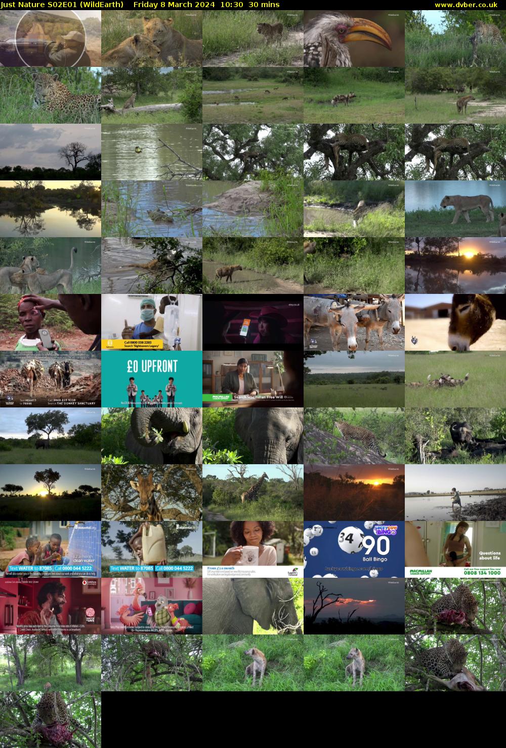 Just Nature S02E01 (WildEarth) Friday 8 March 2024 10:30 - 11:00