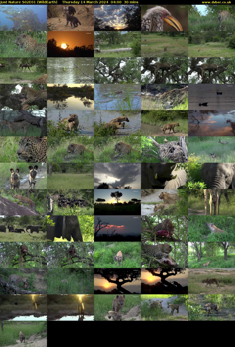 Just Nature S02E01 (WildEarth) Thursday 14 March 2024 04:00 - 04:30