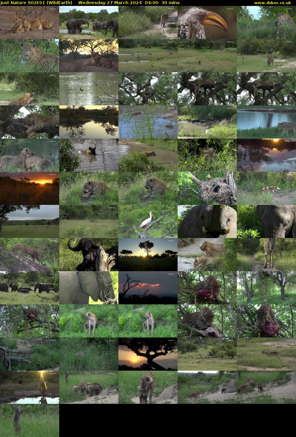 Just Nature S02E01 (WildEarth) Wednesday 27 March 2024 04:00 - 04:30