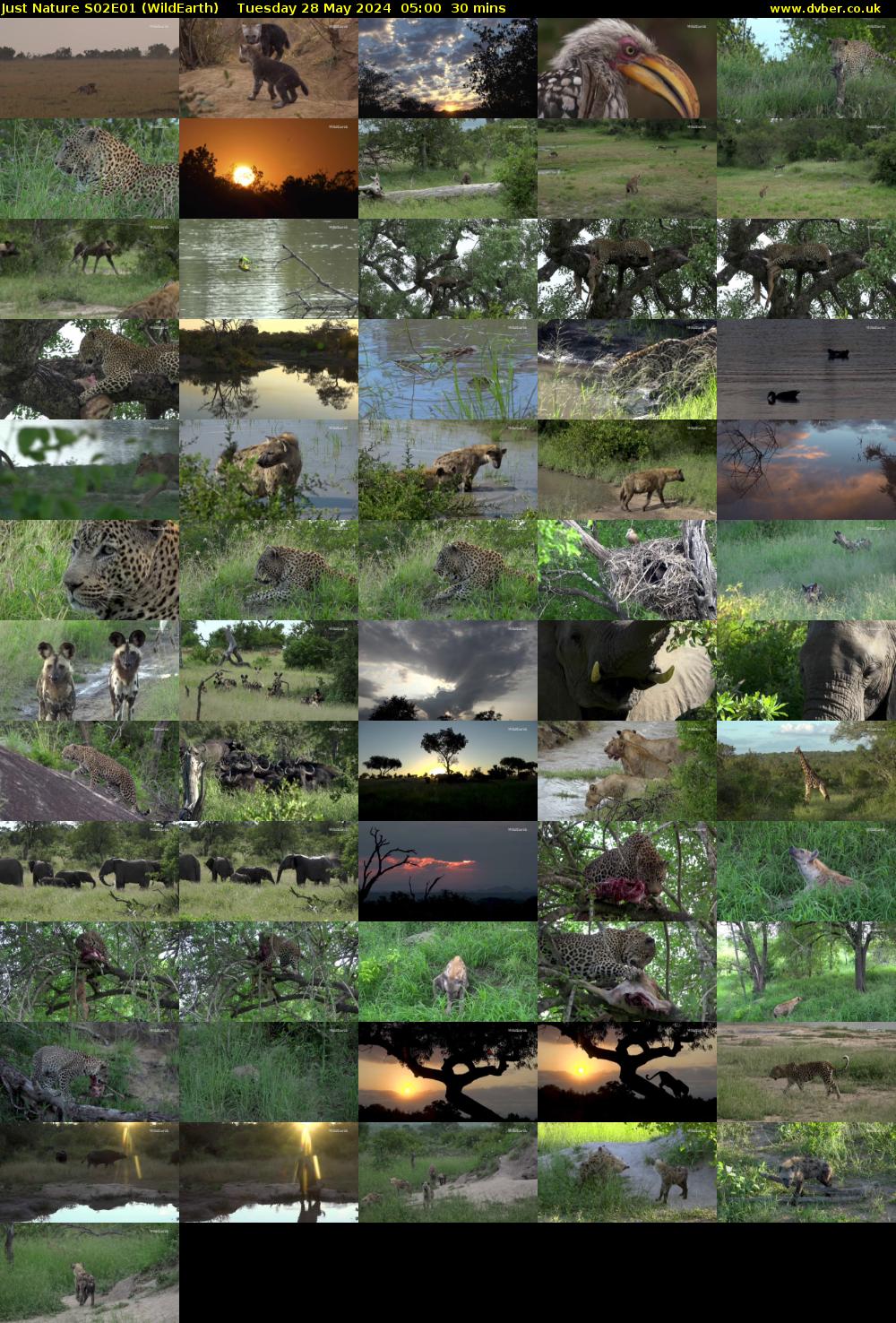 Just Nature S02E01 (WildEarth) Tuesday 28 May 2024 05:00 - 05:30