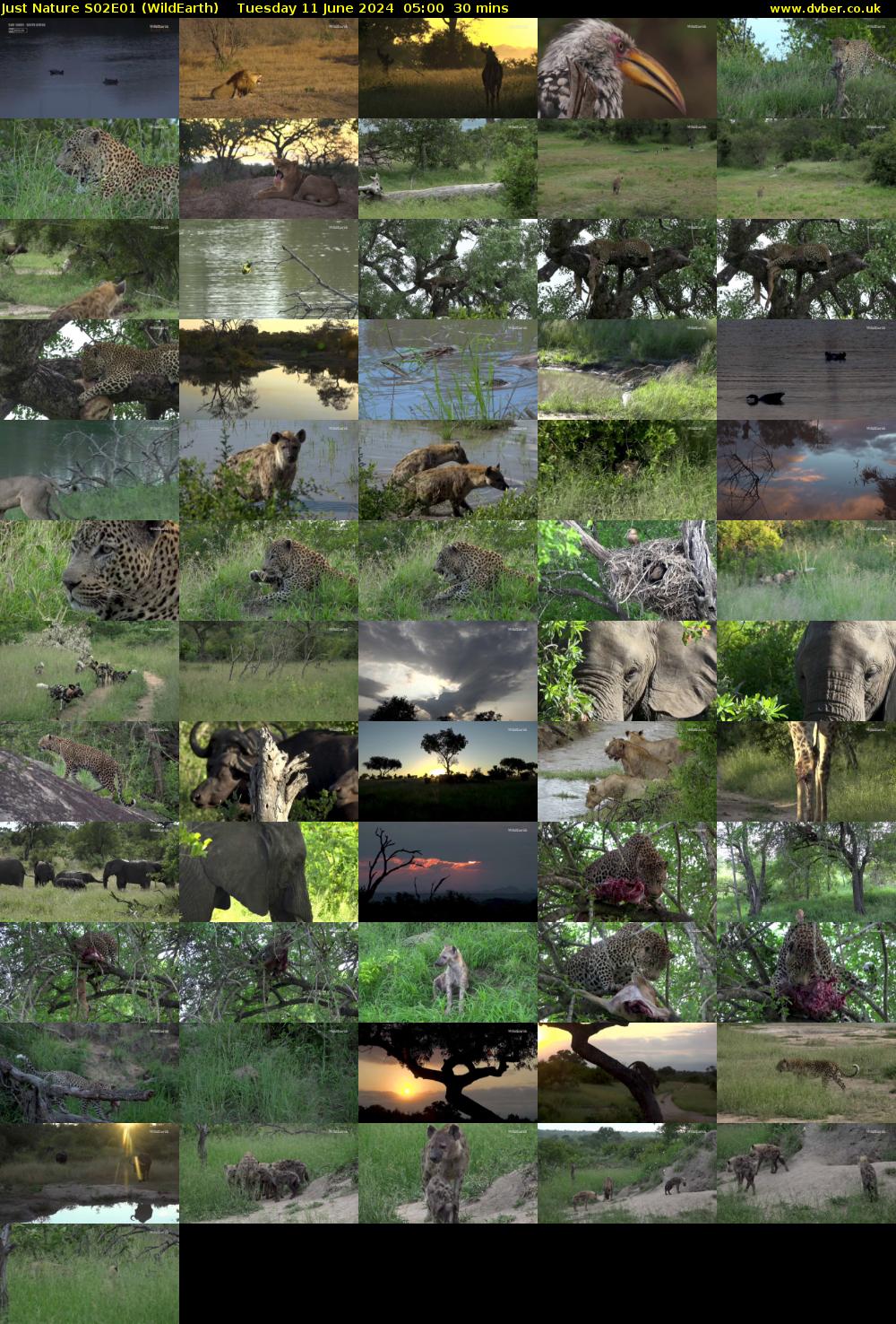Just Nature S02E01 (WildEarth) Tuesday 11 June 2024 05:00 - 05:30