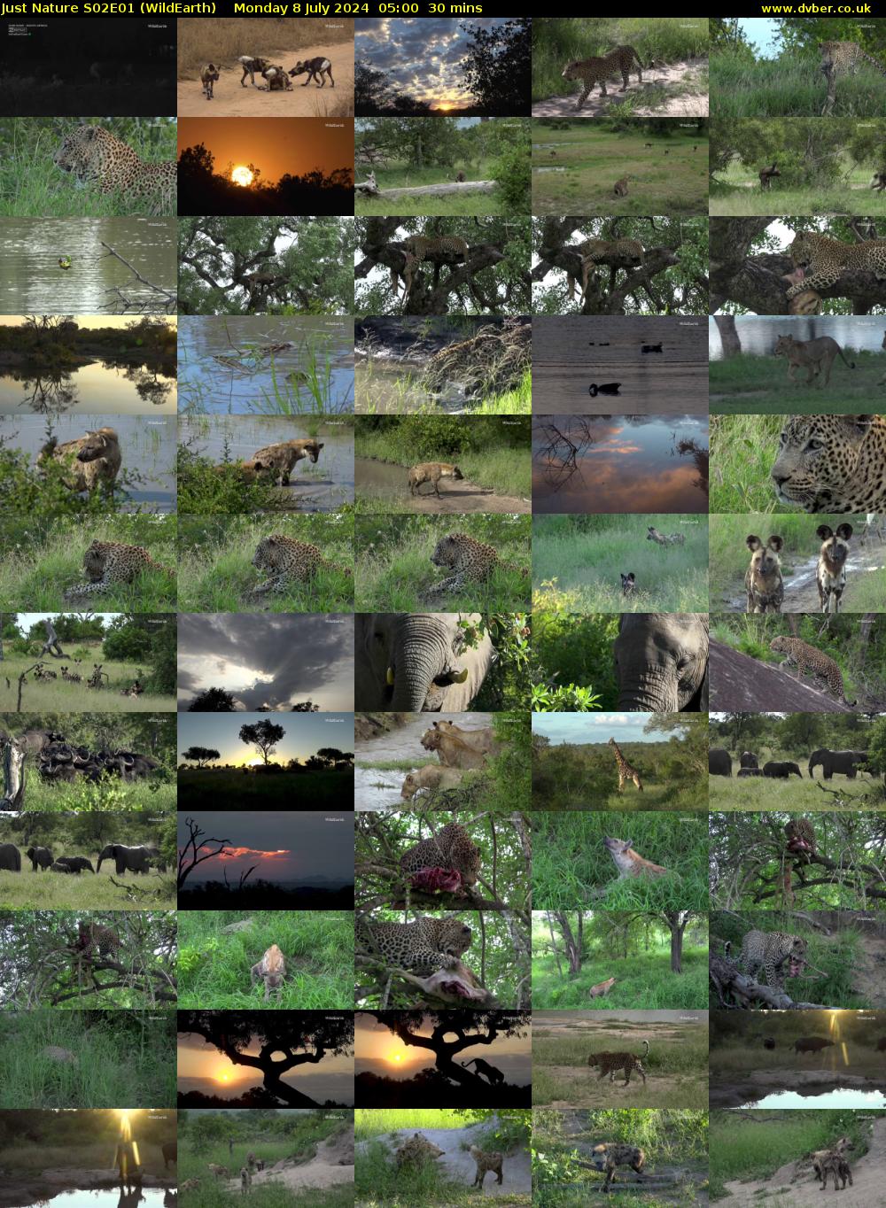 Just Nature S02E01 (WildEarth) Monday 8 July 2024 05:00 - 05:30