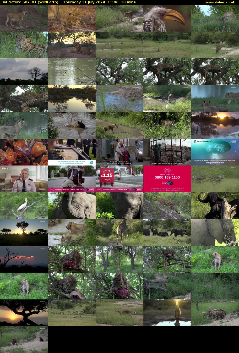 Just Nature S02E01 (WildEarth) Thursday 11 July 2024 11:00 - 11:30