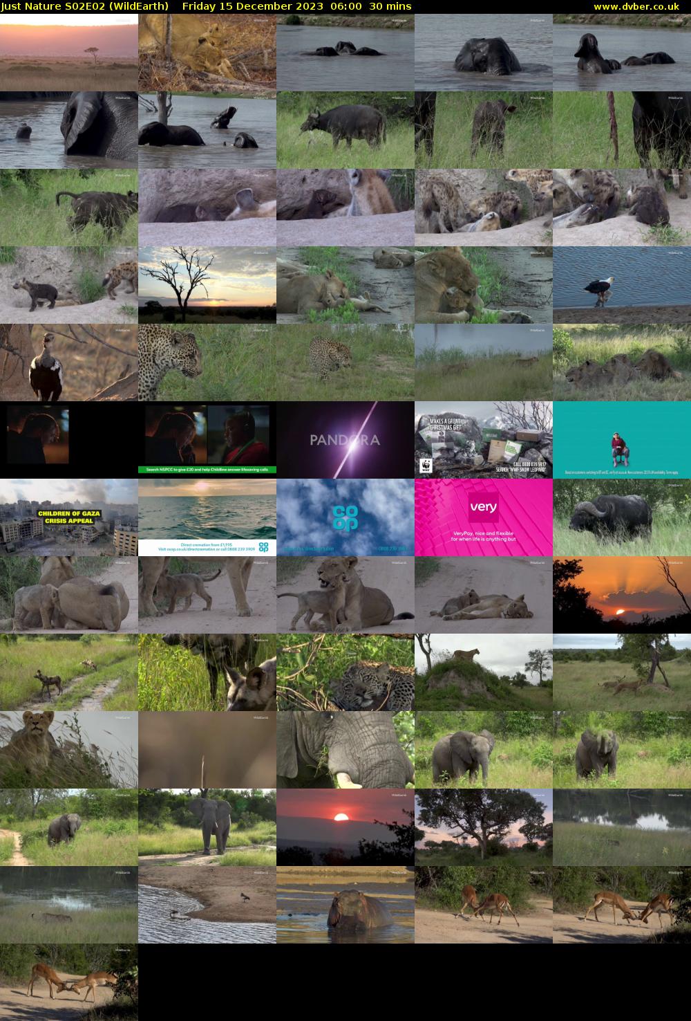 Just Nature S02E02 (WildEarth) Friday 15 December 2023 06:00 - 06:30