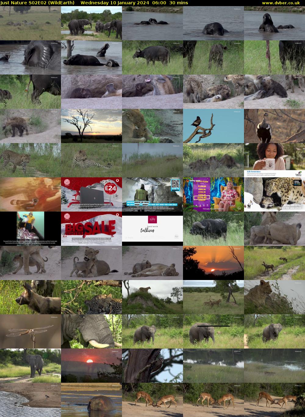 Just Nature S02E02 (WildEarth) Wednesday 10 January 2024 06:00 - 06:30
