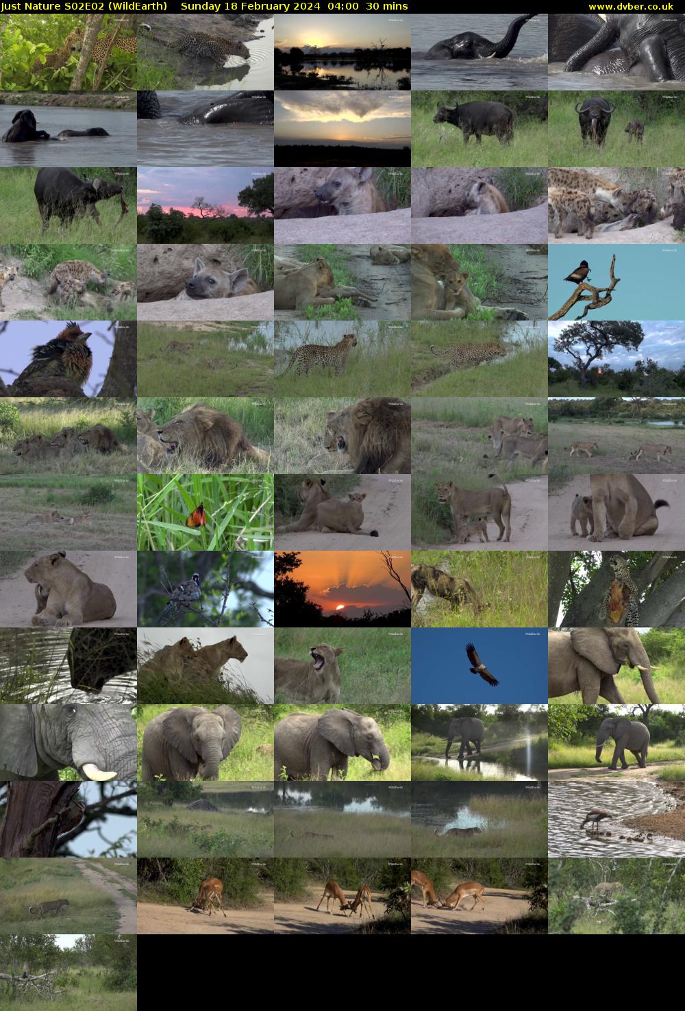 Just Nature S02E02 (WildEarth) Sunday 18 February 2024 04:00 - 04:30