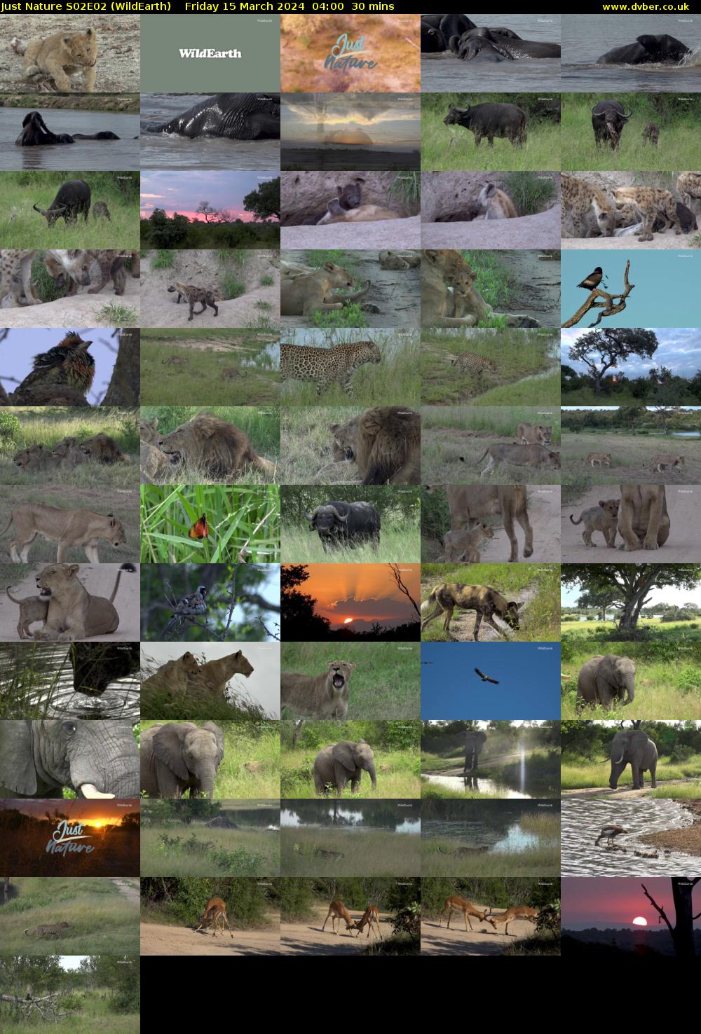 Just Nature S02E02 (WildEarth) Friday 15 March 2024 04:00 - 04:30
